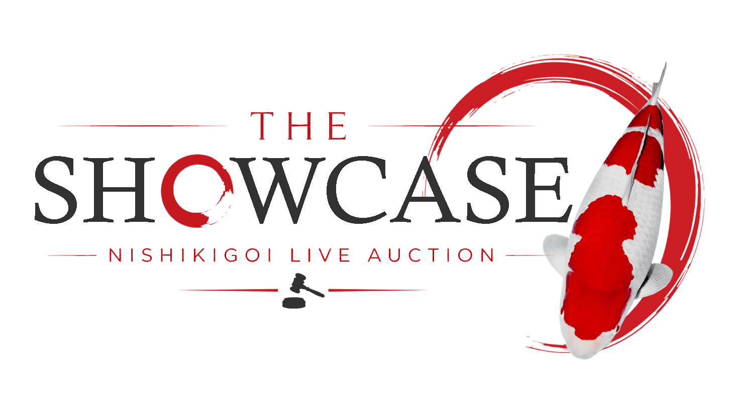 The Showcase Nishikigoi Live Auction