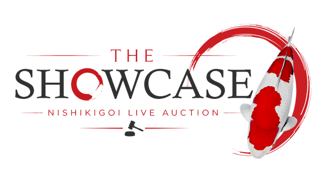 The Showcase Nishikigoi Live Auction