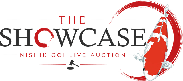 The Showcase — Nishikigoi Live Auction